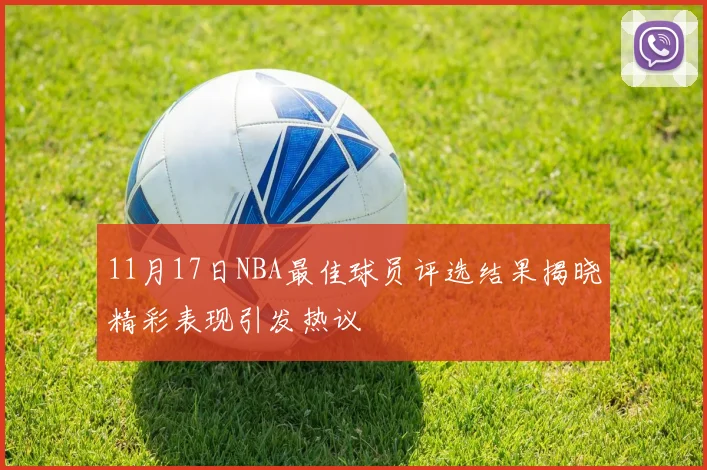 11月17日NBA最佳球员评选结果揭晓精彩表现引发热议