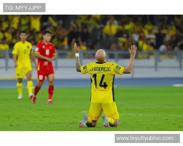 七名归化球员起诉马来西亚足协索赔因违规禁赛一年事件引发关注